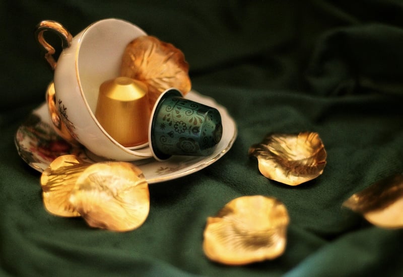 Time Capsule Expedition